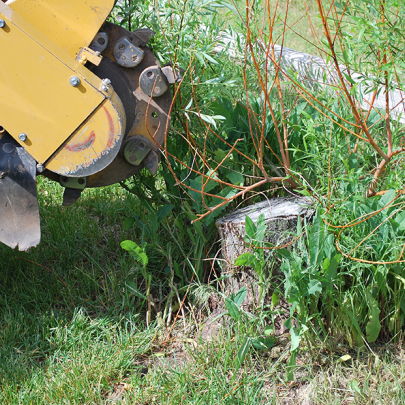 Stump Grinder