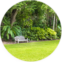 A garden setting with a park bench
