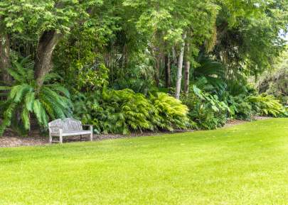 A garden setting with a park bench
